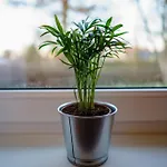 Apartment Meerzeit - Sünnenkieker We4 - Abc287 - Nur Feriengäste!